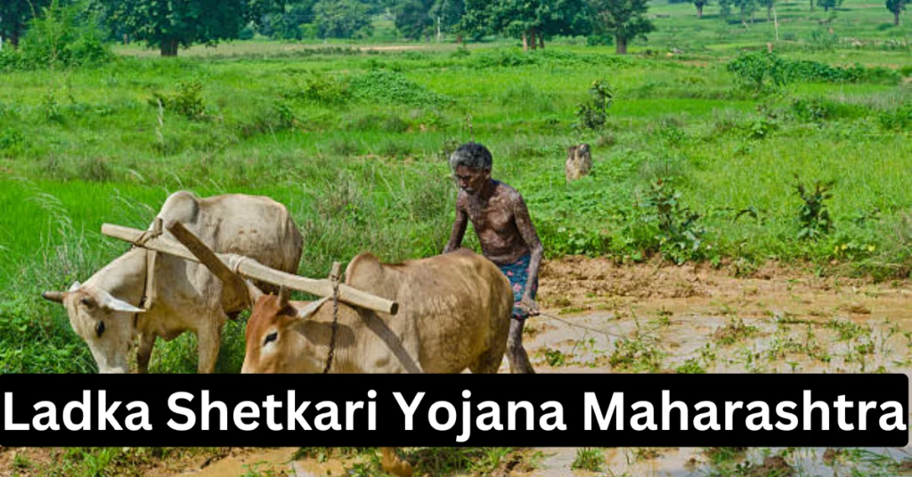 Ladka Shetkari Yojana