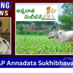 AP Annadata Sukhibhava Scheme