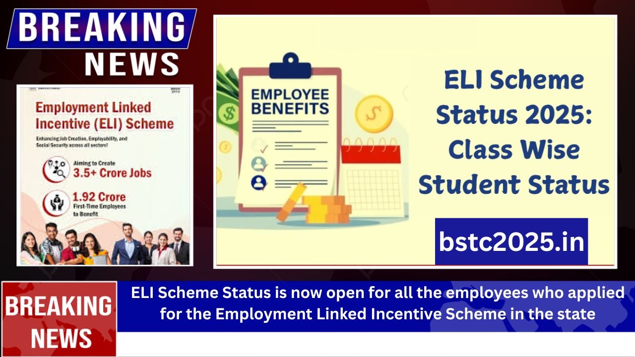 ELI Scheme Status