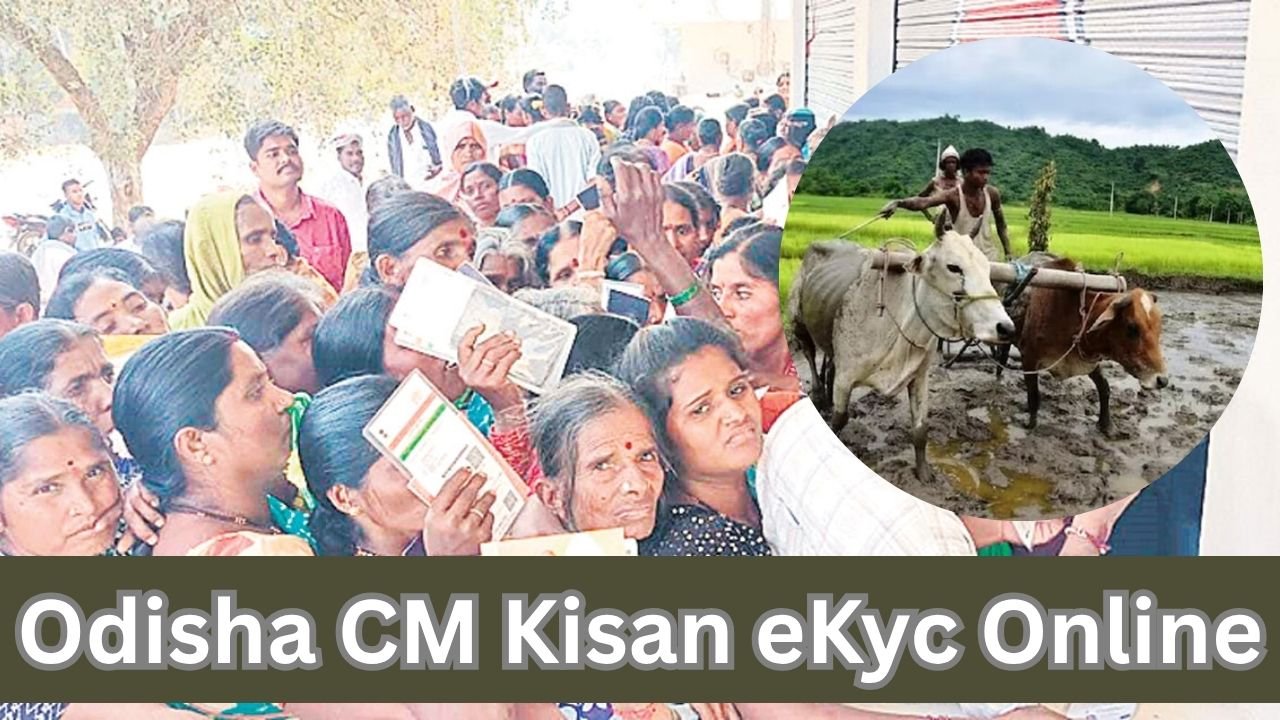 Odisha CM Kisan eKyc